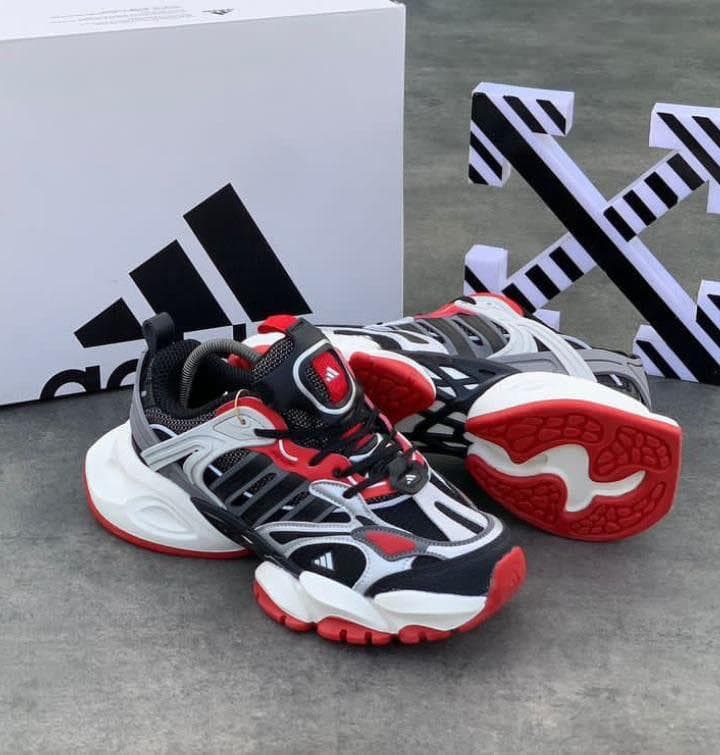 Shoe